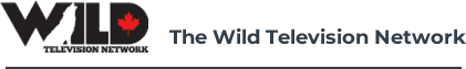 The Wild Television Network