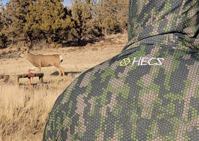 man looking at deer in distance