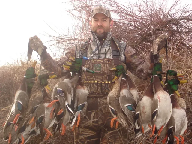 Man holding 10 hunted ducks
