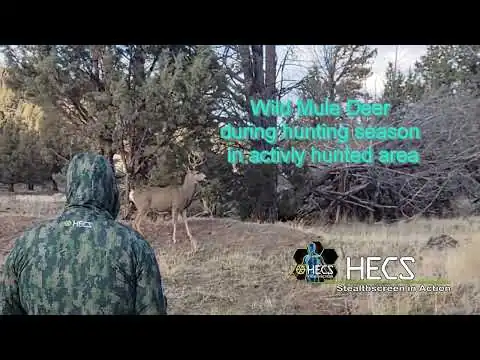 Wide open close up mule deer using HECS technology!