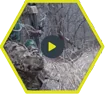 banner-huntplayvideo