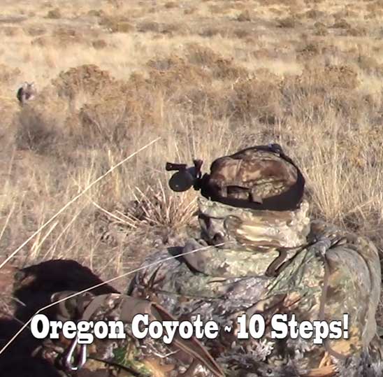 A man in camoflauge using HECS technology to hunt an Oregon coyote